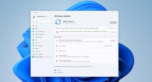Windows 11 KB5063060 update